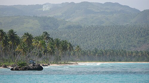 Palm-backed Playa Rincón in Samaná, Dominican Republic
