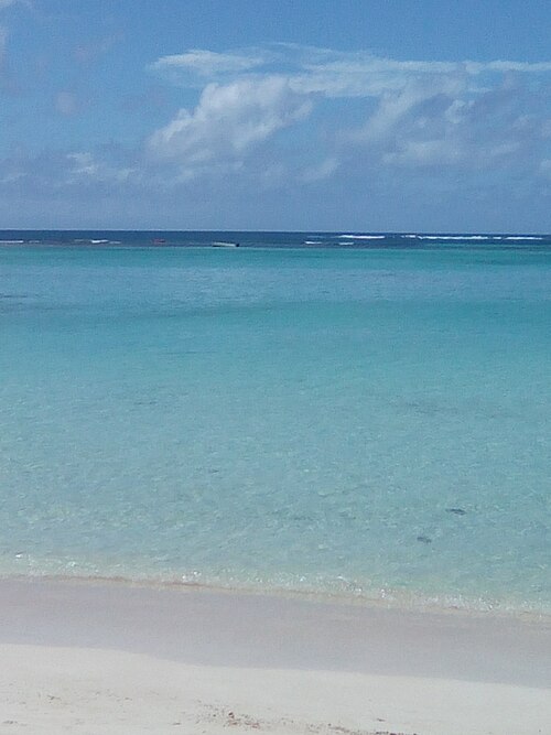Bois Jolan in Jolan Guadeloupe