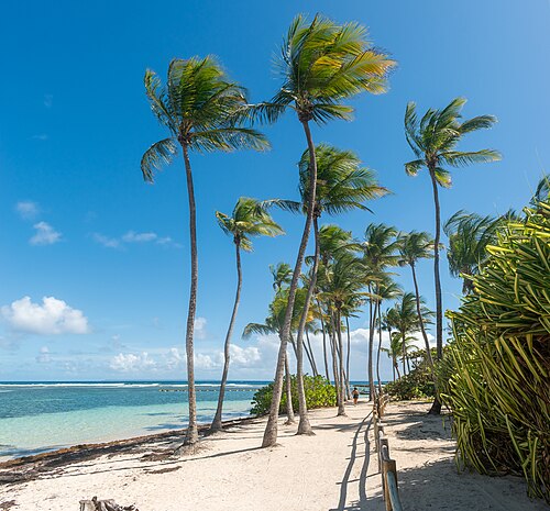 La Caravelle in Caravelle Guadeloupe