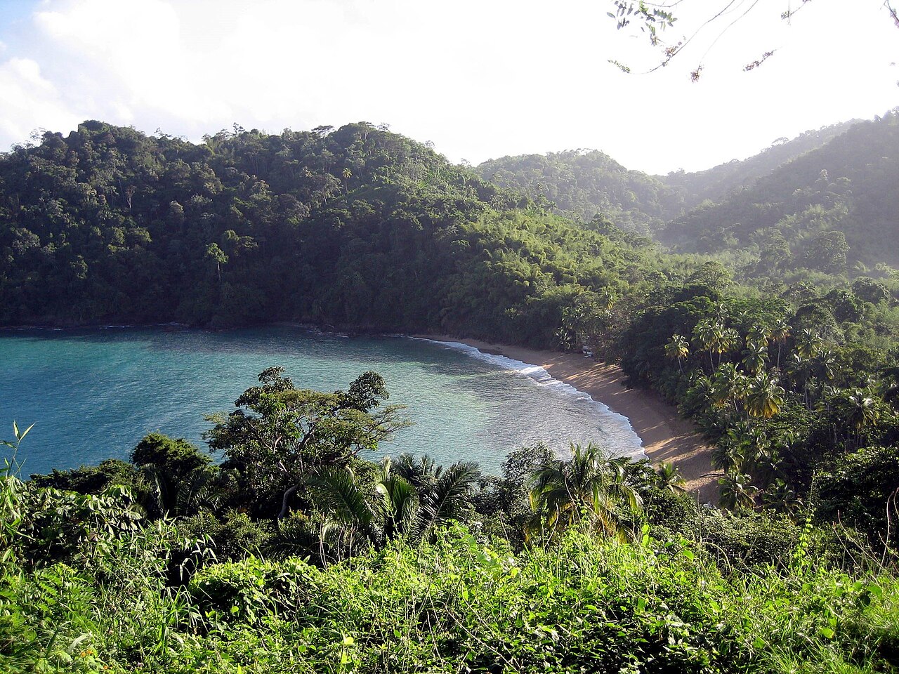 Rainforest surrounding the deep blue-green water of Englishman's Bay in Tobago