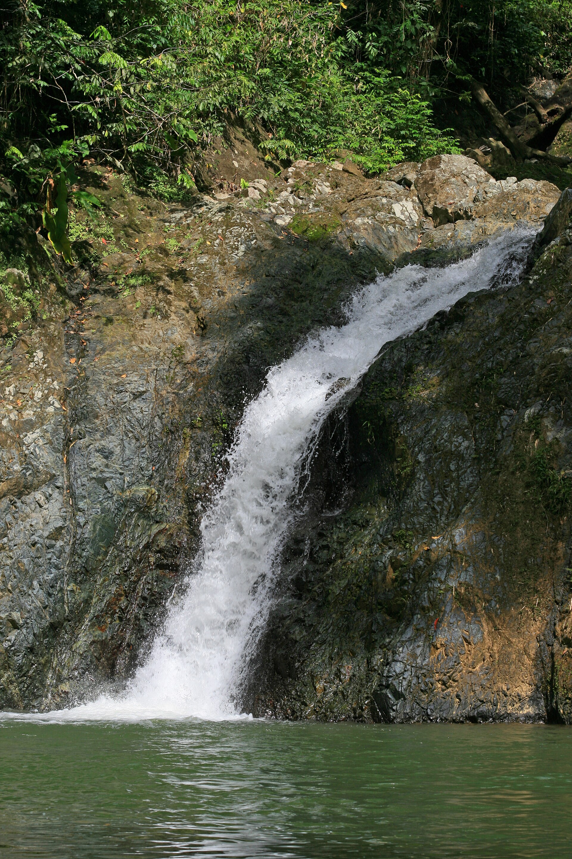 A forest-framed cascade at Argyle Falls in Tobago