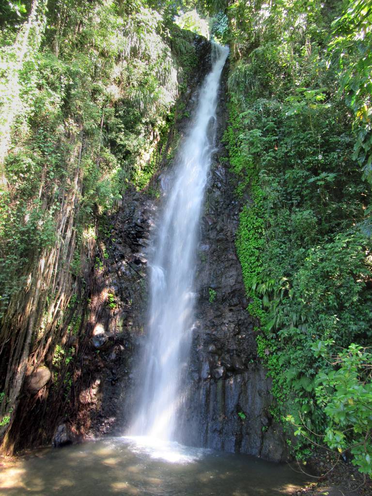 Dark View Falls surrounded by tropical forest on Saint Vincent