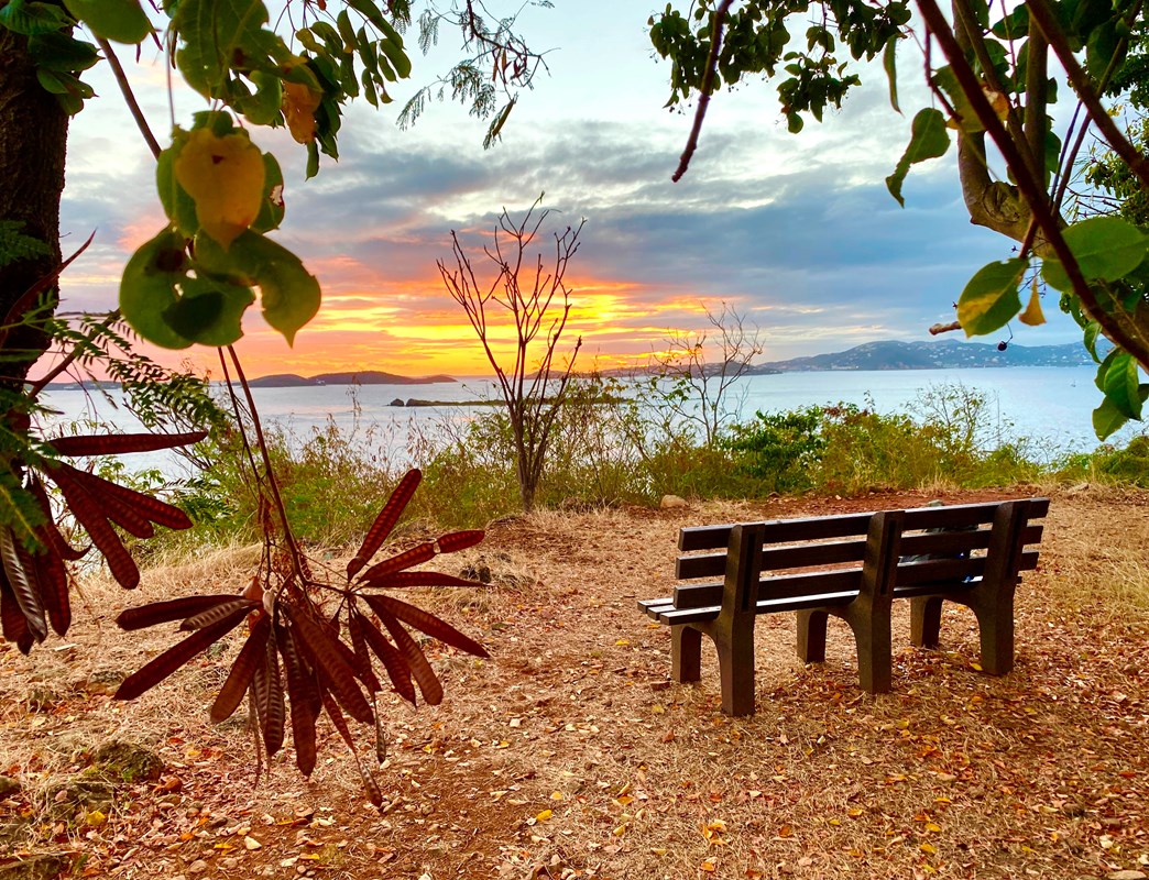 Sunset along the Lind Point trail near Honeymoon Beach on St. John
